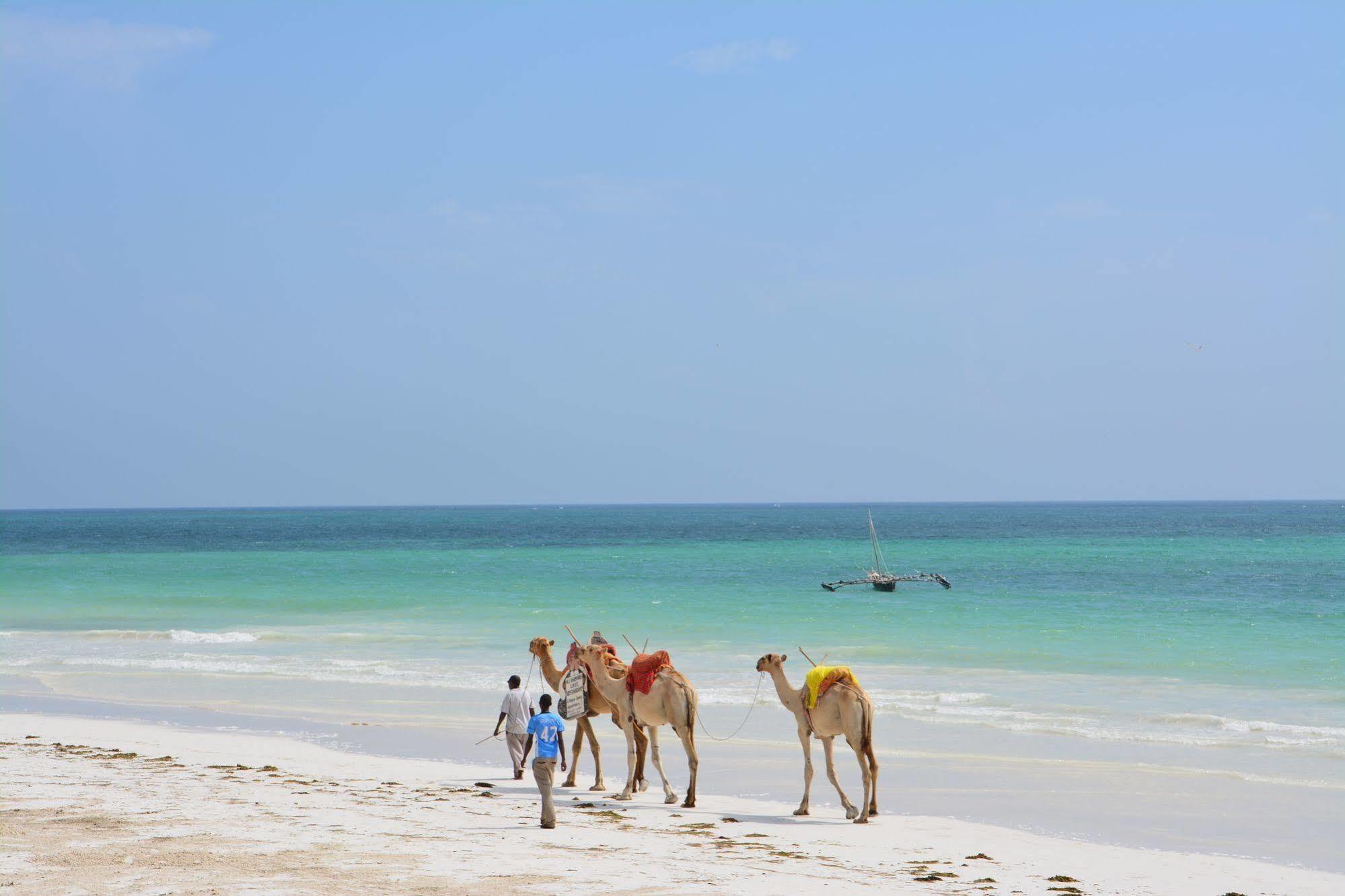 Neptune Paradise Beach Resort & Spa - All Inclusive Galu Extérieur photo